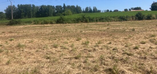 Terrain à bâtir à Miramont-de-Guyenne, Nouvelle-Aquitaine