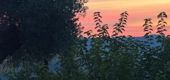 Maison neuve à Châteauneuf-sur-Charente, Nouvelle-Aquitaine