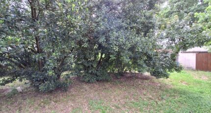 Plaisance-du-Touch Maison neuve - 2324846-9555annonce120251031OEePL.jpeg Maisons France Confort