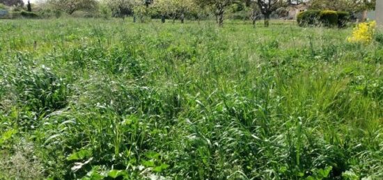 Terrain à bâtir à Larra, Occitanie
