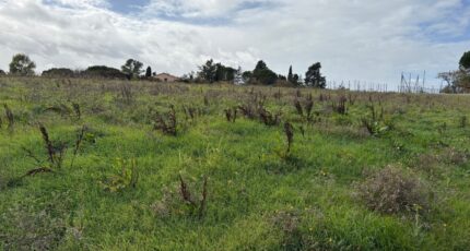 Bazus Terrain à bâtir - 2324885-11356annonce120251031eu3Xn.jpeg Maisons France Confort