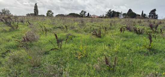 Terrain à bâtir à , Haute-Garonne