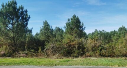 Le Barp Maison neuve - 2325103-3957annonce120251020g27fd.jpeg Maisons France Confort