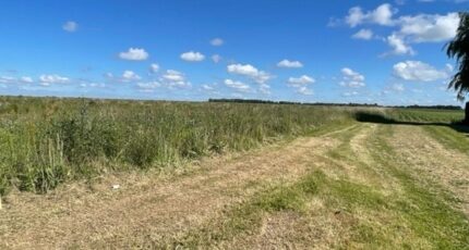 Lantheuil Maison neuve - 2226916-10282annonce120250717sV0JC.jpeg Maisons France Confort