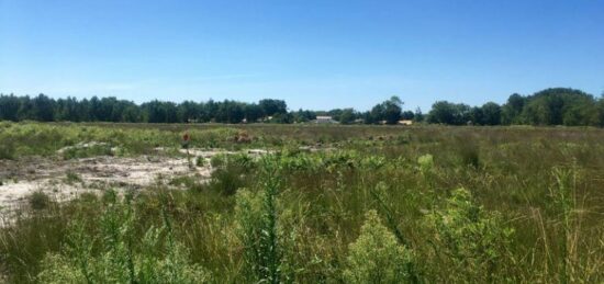 Terrain à bâtir à Le Barp, Nouvelle-Aquitaine
