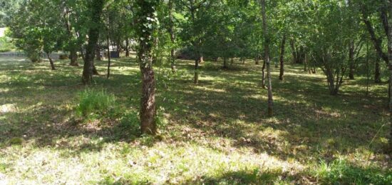 Terrain à bâtir à Andernos-les-Bains, Nouvelle-Aquitaine
