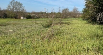 Graulhet Terrain à bâtir - 2243119-2684annonce320250808geMvA.jpeg Maisons France Confort