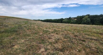 Montfa Terrain à bâtir - 2244620-11178annonce420250812dPmft.jpeg Maisons France Confort