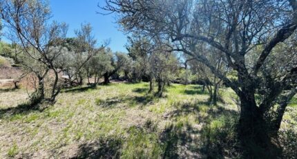 Lorgues Maison neuve - 2247830-4529annonce120250820NG05K.jpeg Maisons France Confort