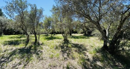 Lorgues Maison neuve - 2247832-4529annonce220250820tzvEM.jpeg Maisons France Confort