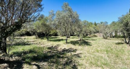 Lorgues Maison neuve - 2247833-4529annonce320250820CxsUE.jpeg Maisons France Confort