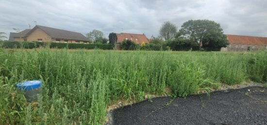 Terrain à bâtir à Saint-Omer, Hauts-de-France