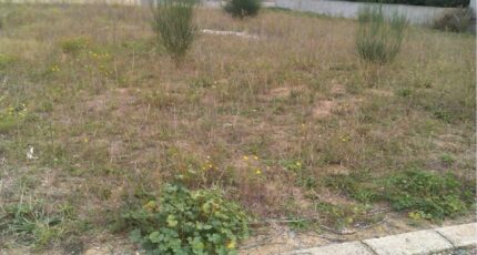 Aigues-Vives Terrain à bâtir - 2250308-10986annonce120250825u5OOO.jpeg Maisons France Confort