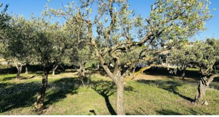 Lorgues Maison neuve - 2250431-4529annonce120250821gVuTv.jpeg Maisons France Confort