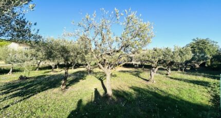 Lorgues Maison neuve - 2250431-4529annonce220250821uUZWA.jpeg Maisons France Confort