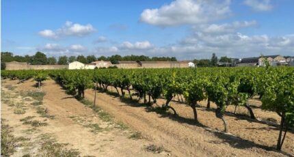 Canet Maison neuve - 2252642-10986annonce120250827m432C.jpeg Maisons France Confort