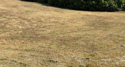 Paulhac Terrain à bâtir - 2252585-11356annonce420250827T83H6.jpeg Maisons France Confort