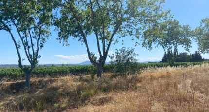 Olonzac Terrain à bâtir - 2253245-11018annonce220250828HVxQQ.jpeg Maisons France Confort