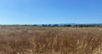 Olonzac Maison neuve - 2253257-11018annonce3202508288qGNN.jpeg Maisons France Confort