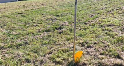 Le Burgaud Maison neuve - 2254255-9555annonce120250829xTPBt.jpeg Maisons France Confort