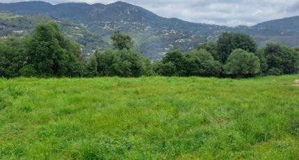 Carros Terrain à bâtir - 2256418-10316annonce2202509016F6Nh.jpeg Maisons France Confort