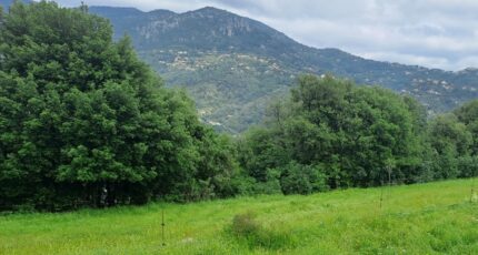 Carros Terrain à bâtir - 2256418-10316annonce320250901c8ysE.jpeg Maisons France Confort