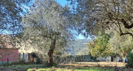 La Trinité Terrain à bâtir - 2256555-10316annonce120250901gKmTu.jpeg Maisons France Confort