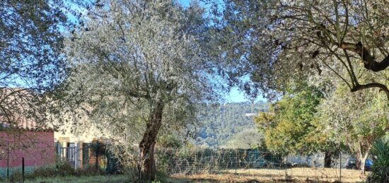 Terrain à bâtir à La Trinité, Provence-Alpes-Côte d'Azur