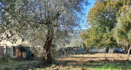 La Trinité Terrain à bâtir - 2256555-10316annonce220250901Ty5ZT.jpeg Maisons France Confort