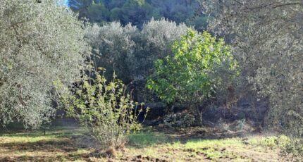 La Trinité Terrain à bâtir - 2256555-10316annonce320250901UaZEN.jpeg Maisons France Confort