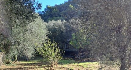 La Trinité Terrain à bâtir - 2256555-10316annonce420250901qaDHD.jpeg Maisons France Confort