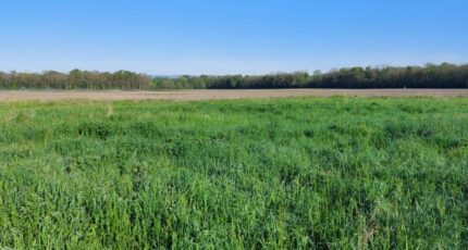 Bindernheim Maison neuve - 2256666-5767annonce620250901FDhb5.jpeg Maisons France Confort