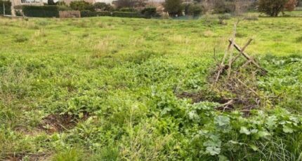 Cuers Terrain à bâtir - 2257462-11136annonce120250902KBoqF.jpeg Maisons France Confort