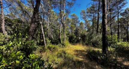 Bagnols-en-Forêt Terrain à bâtir - 2239264-3701annonce120250801h70xG.jpeg Maisons France Confort