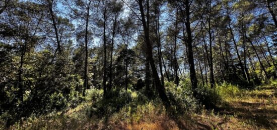 Terrain à bâtir à Bagnols-en-Forêt, Provence-Alpes-Côte d'Azur