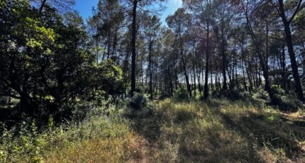 Bagnols-en-Forêt Maison neuve - 2239271-3701annonce220250801TgdxK.jpeg Maisons France Confort