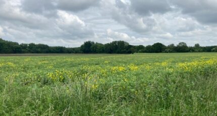 Carvin Maison neuve - 2257883-1807annonce320250902QNb0e.jpeg Maisons France Confort