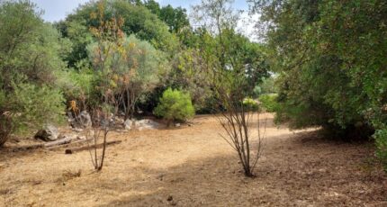 Camps-la-Source Maison neuve - 2271906-11137annonce120250915LSdvx.jpeg Maisons France Confort