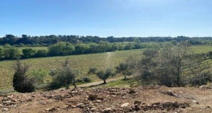 Rieux-Minervois Terrain à bâtir - 2272504-10986annonce120250916E3gXf.jpeg Maisons France Confort