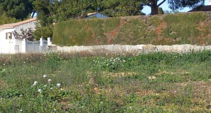 Mauguio Terrain à bâtir - 2273792-11040annonce120250917iiW4i.jpeg Maisons France Confort