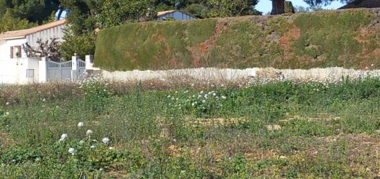 Terrain à bâtir à Mauguio, Occitanie
