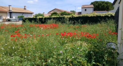 Mauguio Terrain à bâtir - 2274267-11040annonce1202509175NN8T.jpeg Maisons France Confort