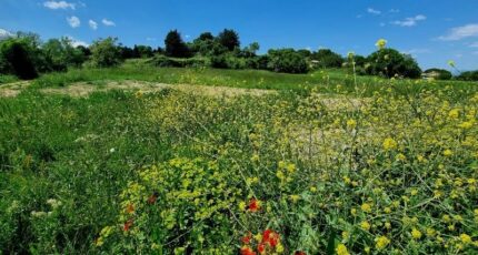 Montagnac Terrain à bâtir - 2274117-3243annonce120250917zldSS.jpeg Maisons France Confort