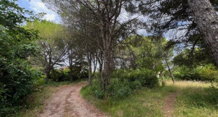 Saint-Geniès-des-Mourgues Maison neuve - 2274672-3243annonce22025091778cwK.jpeg Maisons France Confort