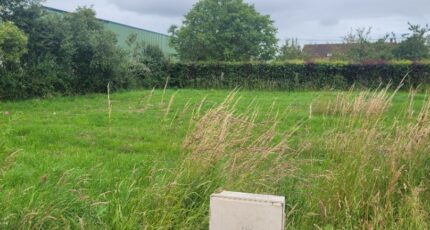 Wormhout Maison neuve - 2275892-1587annonce120250915le7nn.jpeg Maisons France Confort