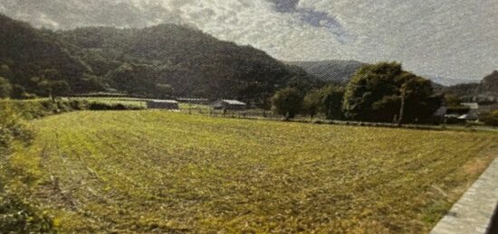 Terrain à bâtir à Lourdes, Occitanie