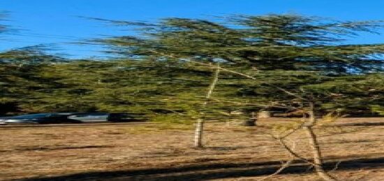 Terrain à bâtir à Villanière, Occitanie