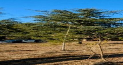 Villanière Maison neuve - 2276351-10986annonce120250919G41pV.jpeg Maisons France Confort