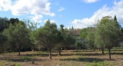 Azille Terrain à bâtir - 2276406-10986annonce120250919RE8cP.jpeg Maisons France Confort