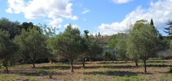 Terrain à bâtir à Azille, Occitanie
